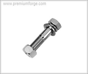 STRUCTURAL BOLT WITH NUT