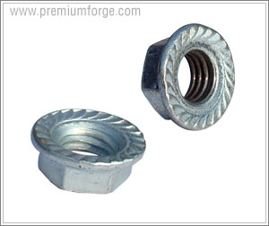 hex lock nut